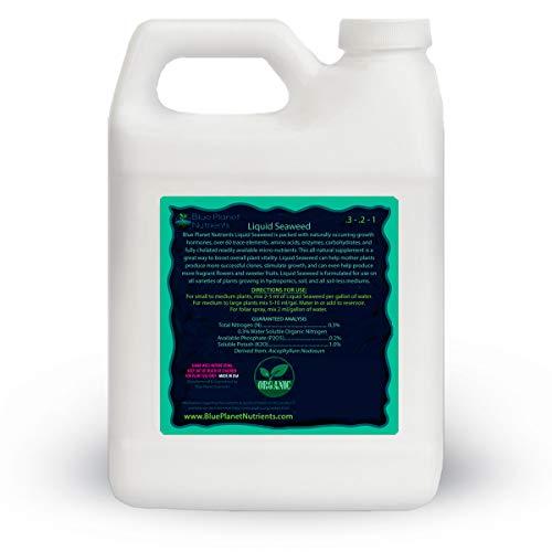 Liquid Seaweed for Plants (32 oz) Quart Concentrated